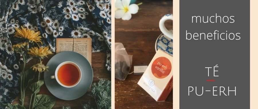 beneficios del té rojo semper tea