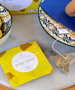 Alternative view of GINGER LEMON infusion bio I Thé Pyramide en sachets