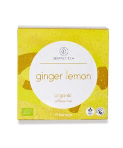 GINGER LEMON infusion bio I Thé Pyramide en sachets