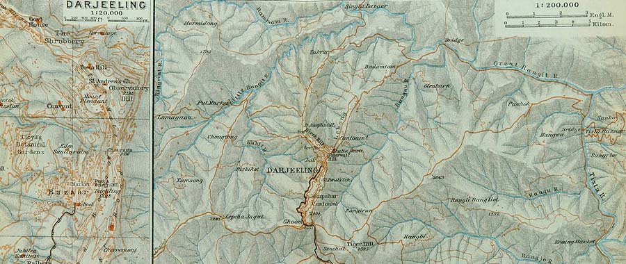 Historia del Té Darjeeling - ¿de donde viene? semper tea