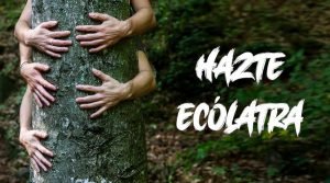 ecolatras productos sostenibles semper tea