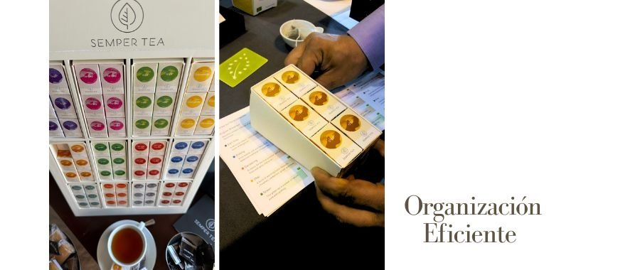 Estaciones de Trabajo Designadas semper tea