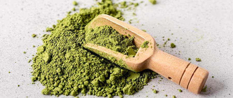 wholesale matcha semper tea