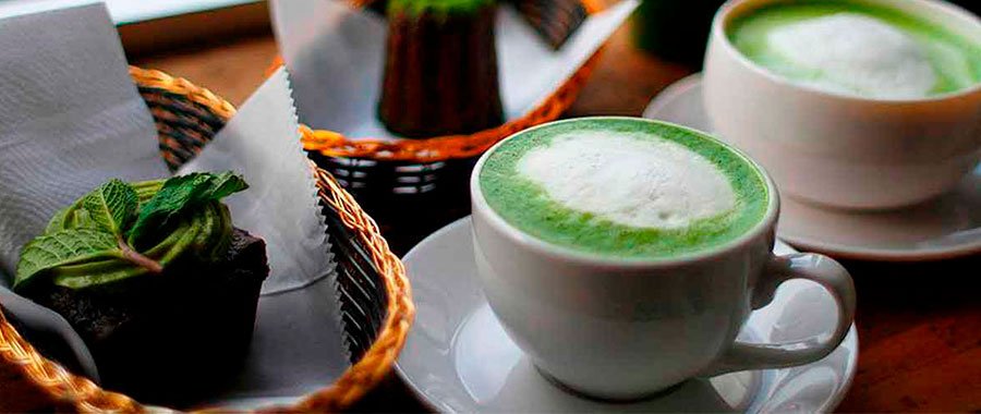 matcha for the hospitality industry