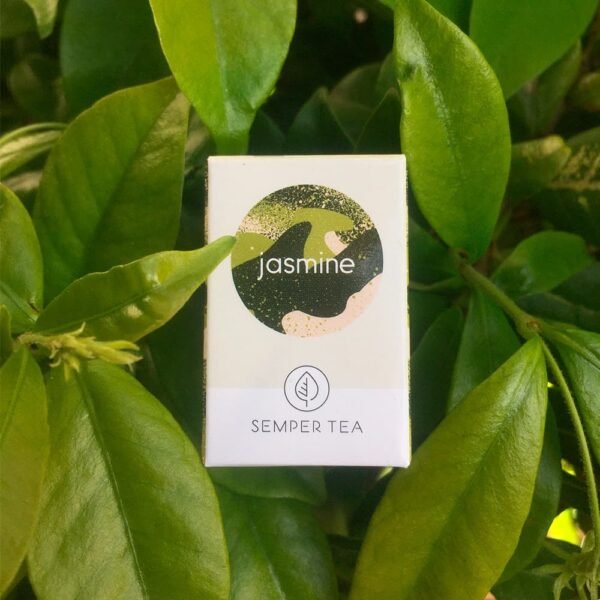 Té verde con jazmín en pirámides ecológicas