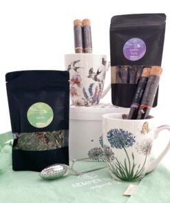 kit de te para regalar semper tea