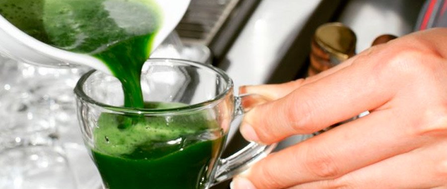 how to tell if matcha is good quality