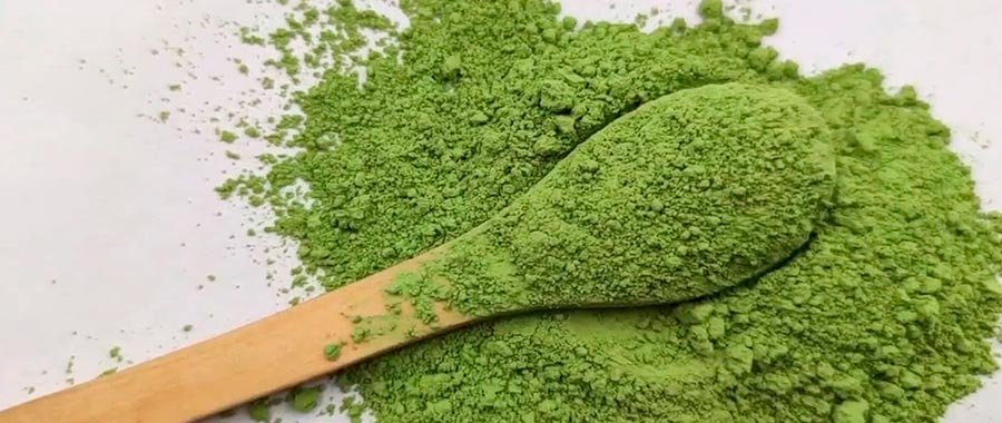 Organic matcha tea powder on spoon