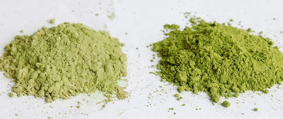 types of matcha semper tea
