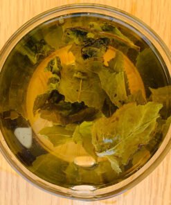 Teoolong en pirámides biodegradables, formato a granel ecológico