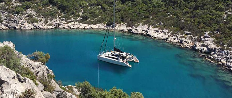 Solución de té premium para catering náutico y barcos de lujo