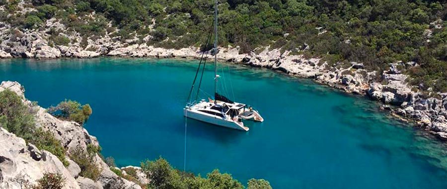 Solution de thé premium pour catering yacht et bateaux de luxe