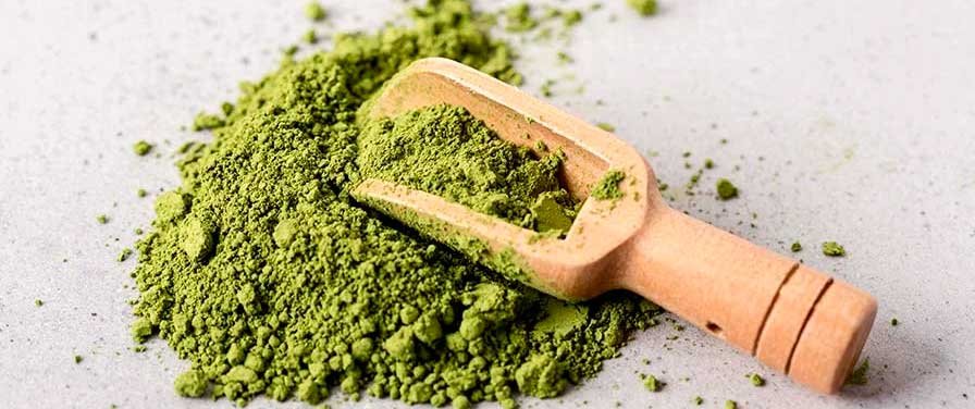 Matcha Latte Recipe for Coffee Shops with Organic Matcha Powder Matcha Latte Recipe for Coffee Shops with Organic Matcha Powder