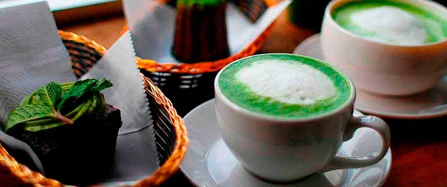 Organic Matcha Powder in Bulk for Coffee Shops and HoReCa Organic Matcha Powder in Bulk for Coffee Shops and HoReCa