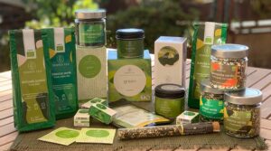 Tipos de té verde ecológico: guía de variedades