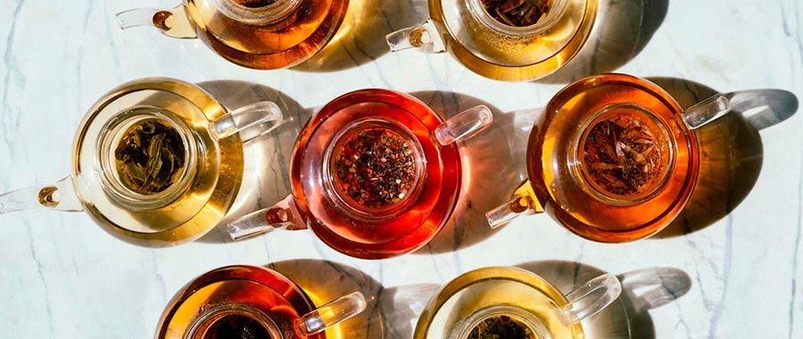 Selección de tés e infusiones de Semper Tea para cafeterías. Variedades de té e infusiones para cafeterías Semper Tea